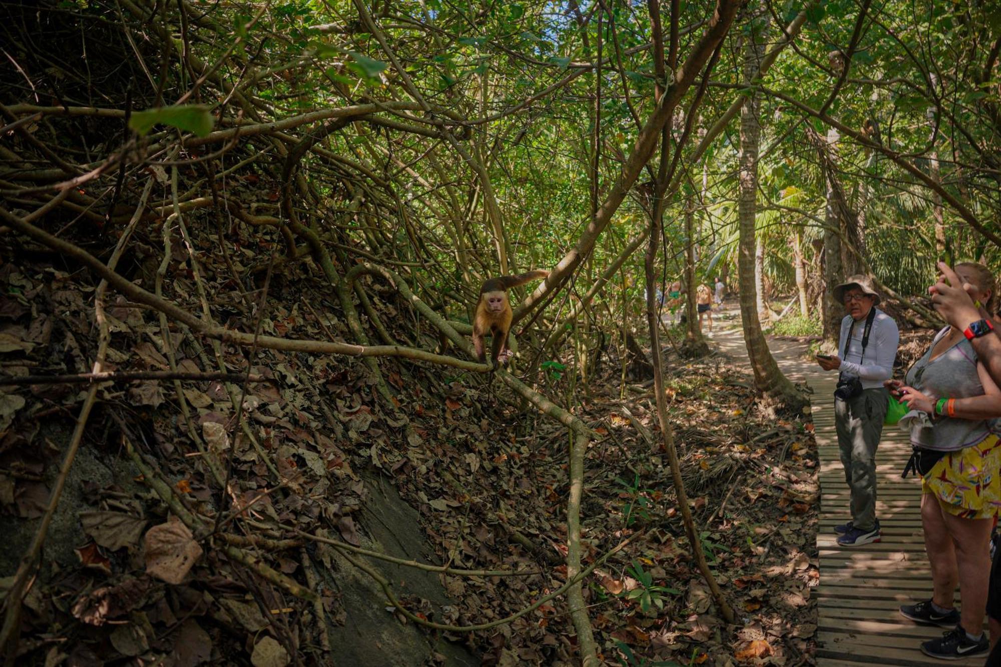 Ecohotel Yachay Tayrona El Zaino Esterno foto