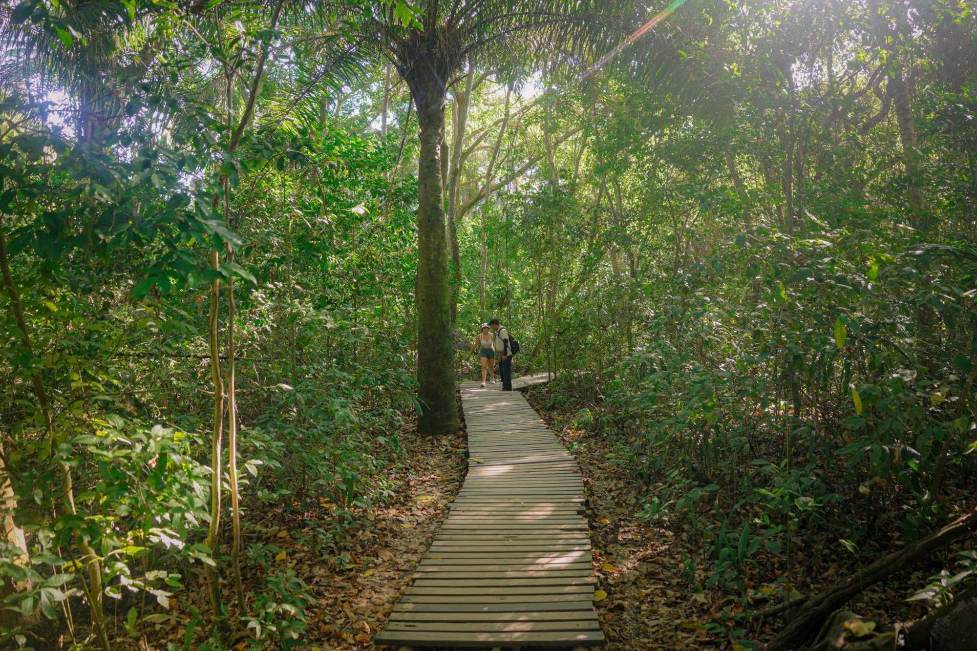 Ecohotel Yachay Tayrona El Zaino Esterno foto