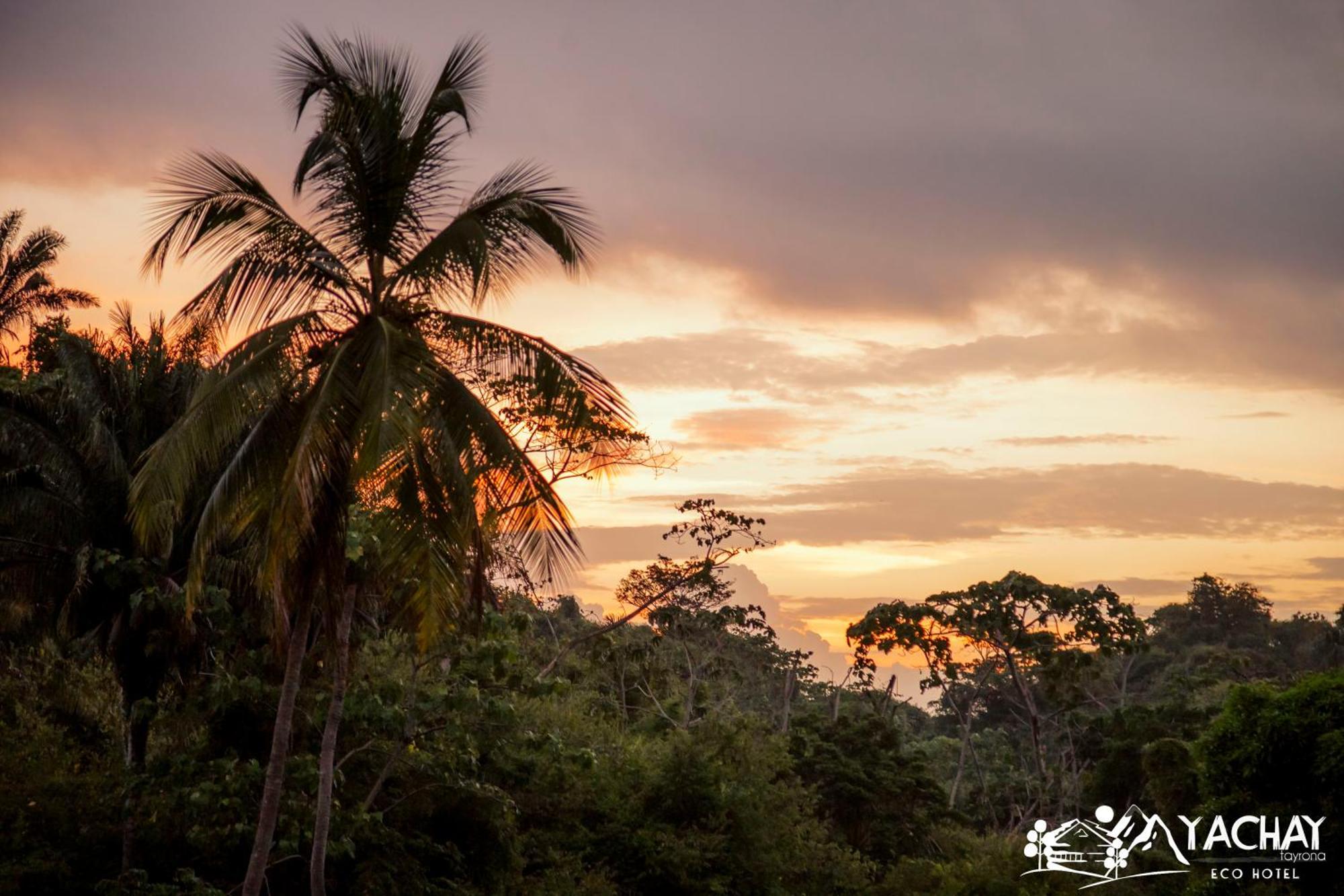 Ecohotel Yachay Tayrona El Zaino Esterno foto