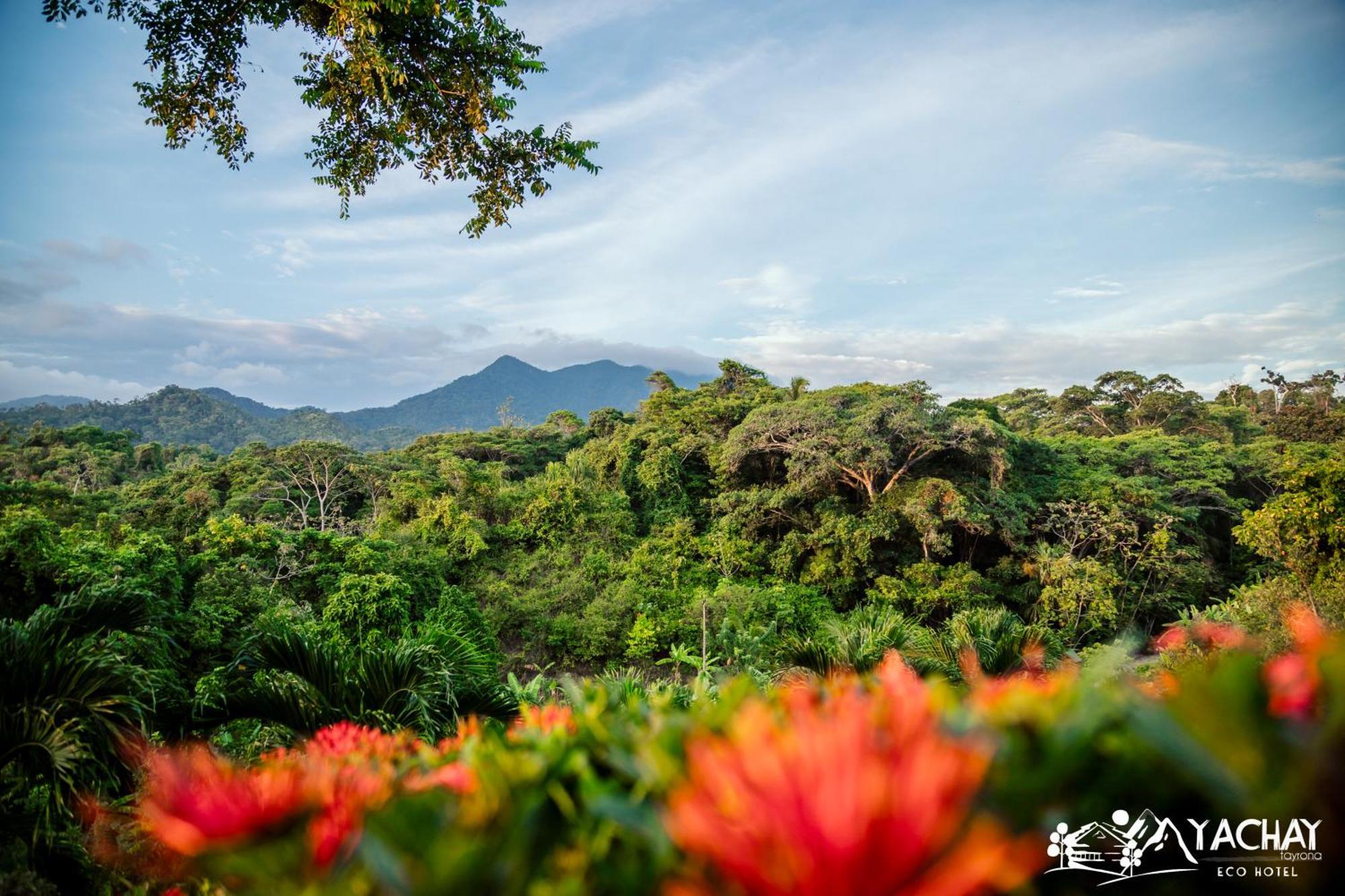 Ecohotel Yachay Tayrona El Zaino Esterno foto